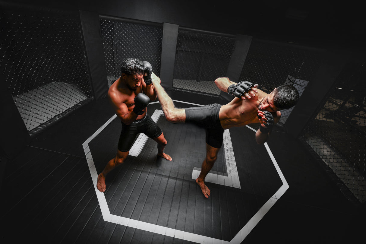 Poolex Spa Netspa Ufc Icebatch Ottekantet Isbad