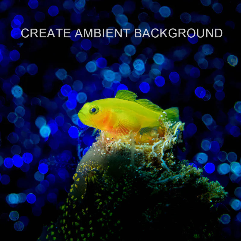 DIVEVOLK Farvefilterhjul til 2000 Lumen dykkerlampe snoot