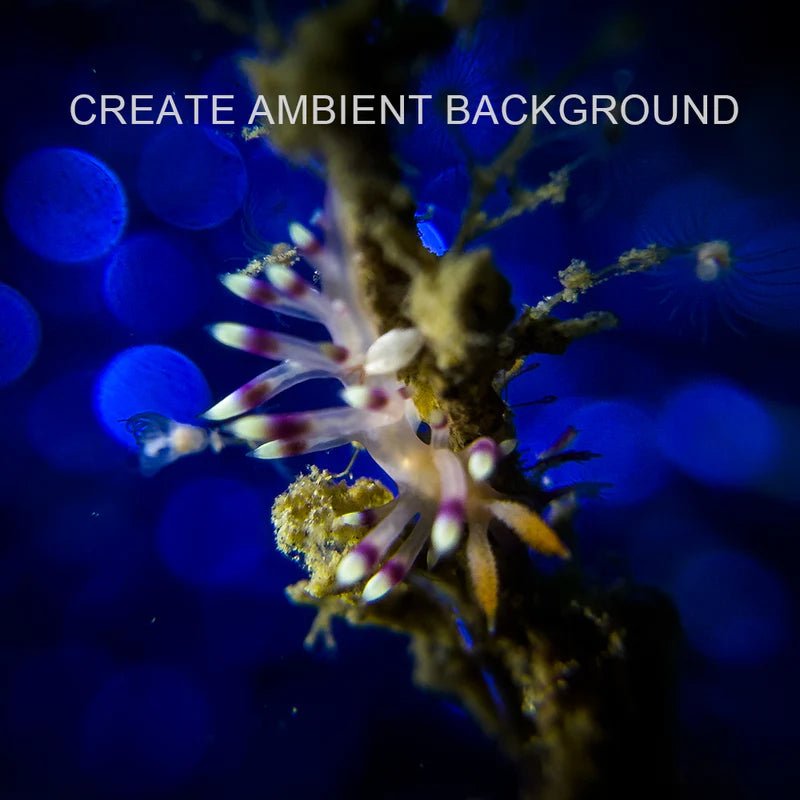 DIVEVOLK Farvefilterhjul til 2000 Lumen dykkerlampe snoot