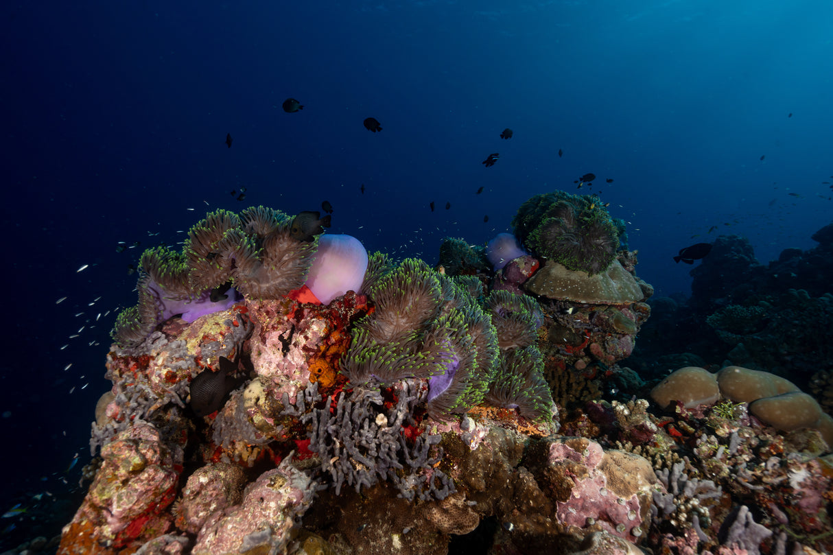 Fuvahmulah, Maldiverne