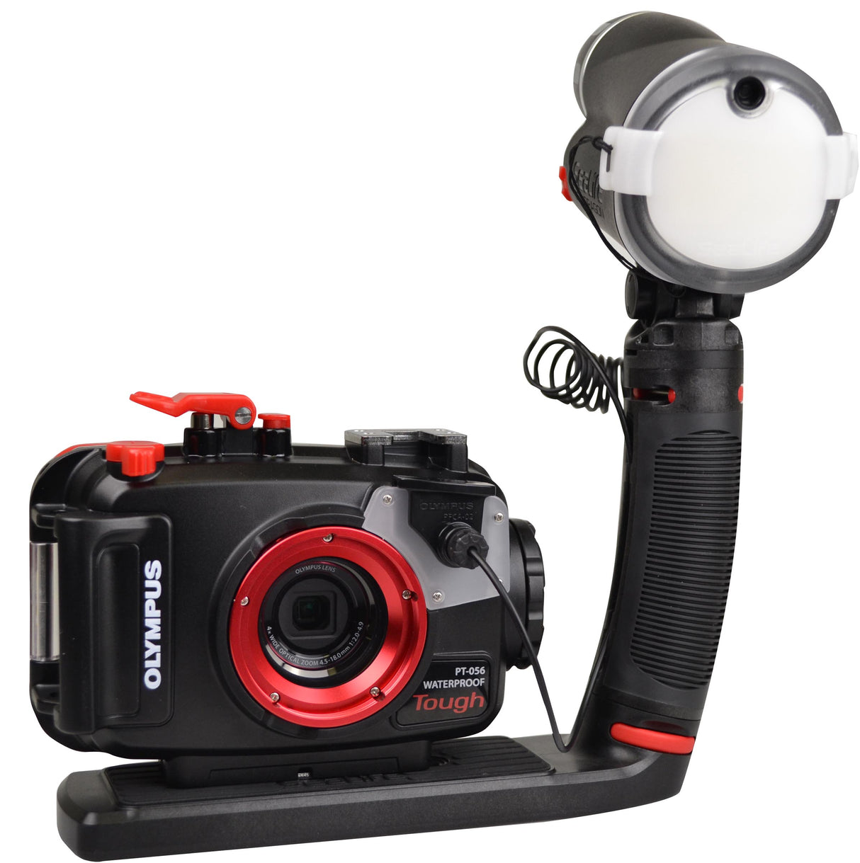 Seadragon Digital UV Flash