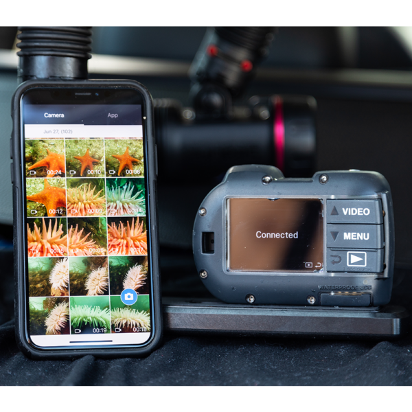 Sealife / Sea Dragon Micro 3.0 Undervandskamera Limited Edition Explorer sæt med 2300F Lampe