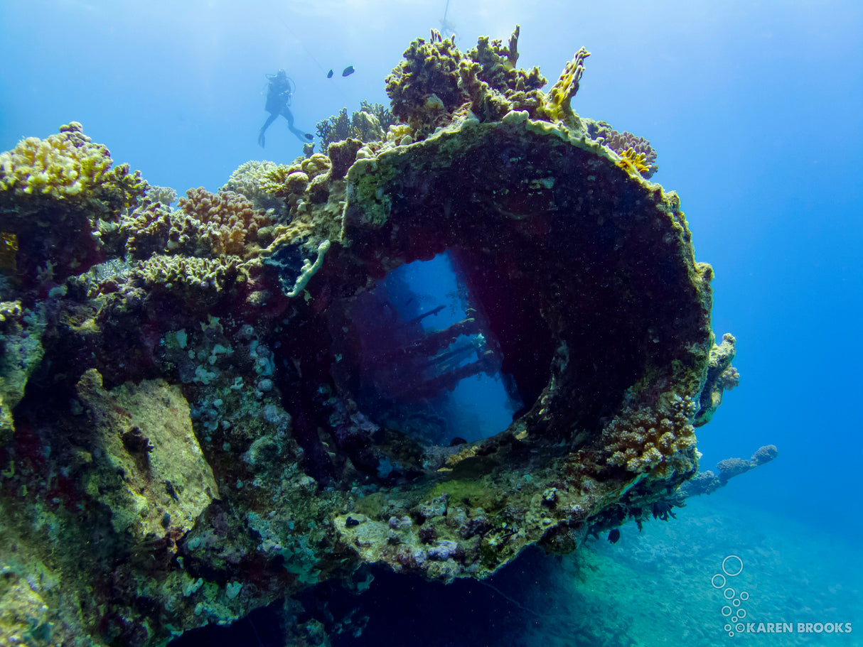 Egypten, Sharm El Sheikh - Grupperejse