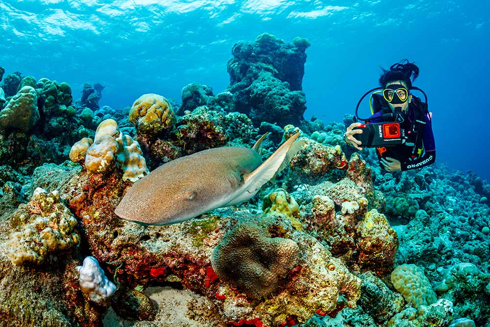 Sealife Sportdiver Ultra Underwater Housing SL405 for iPhone/Android