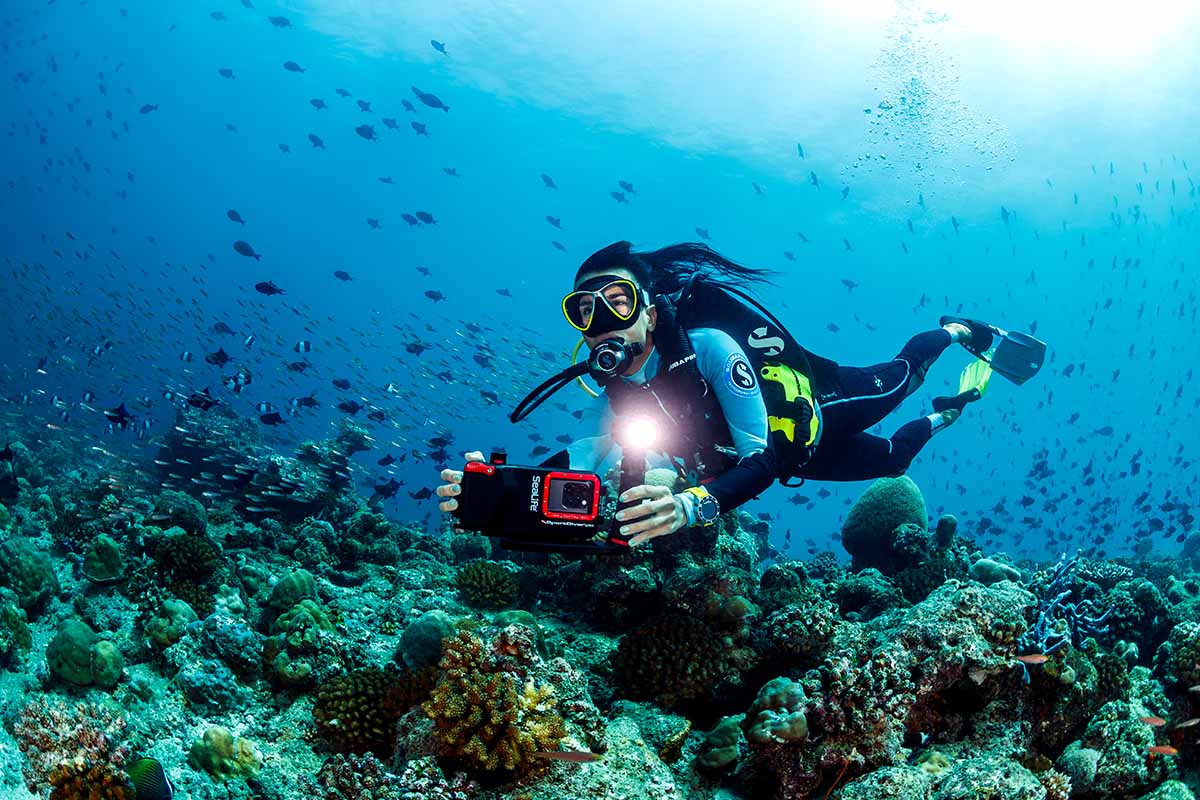 Sportdiver Sealife Pro 2500 SL406 Sæt for Iphone & Android