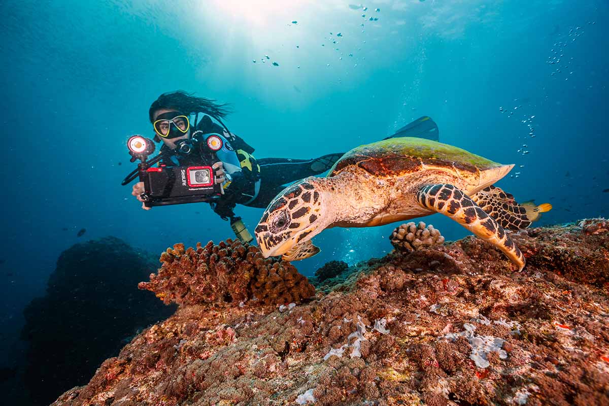 Sealife Seadragon Duo 6000F Set