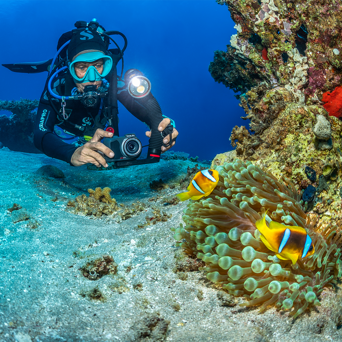 SeaLife Sea Dragon 3000SF Pro Dual Beam Light Head