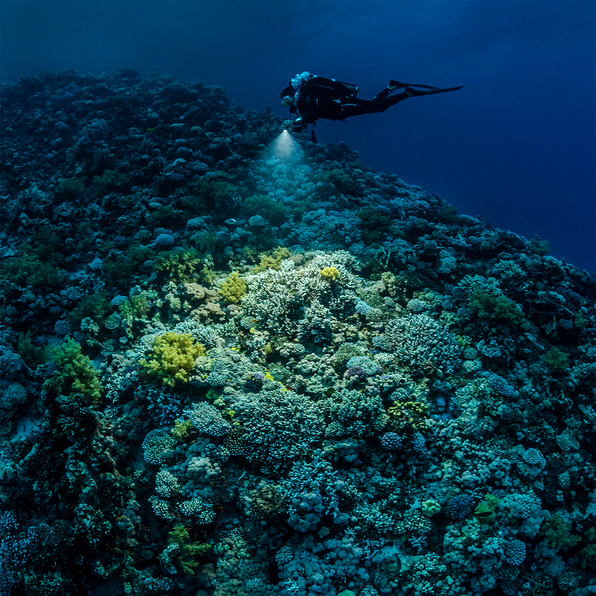 SeaLife Sea Dragon 3000SF Pro Dual Beam Light Head