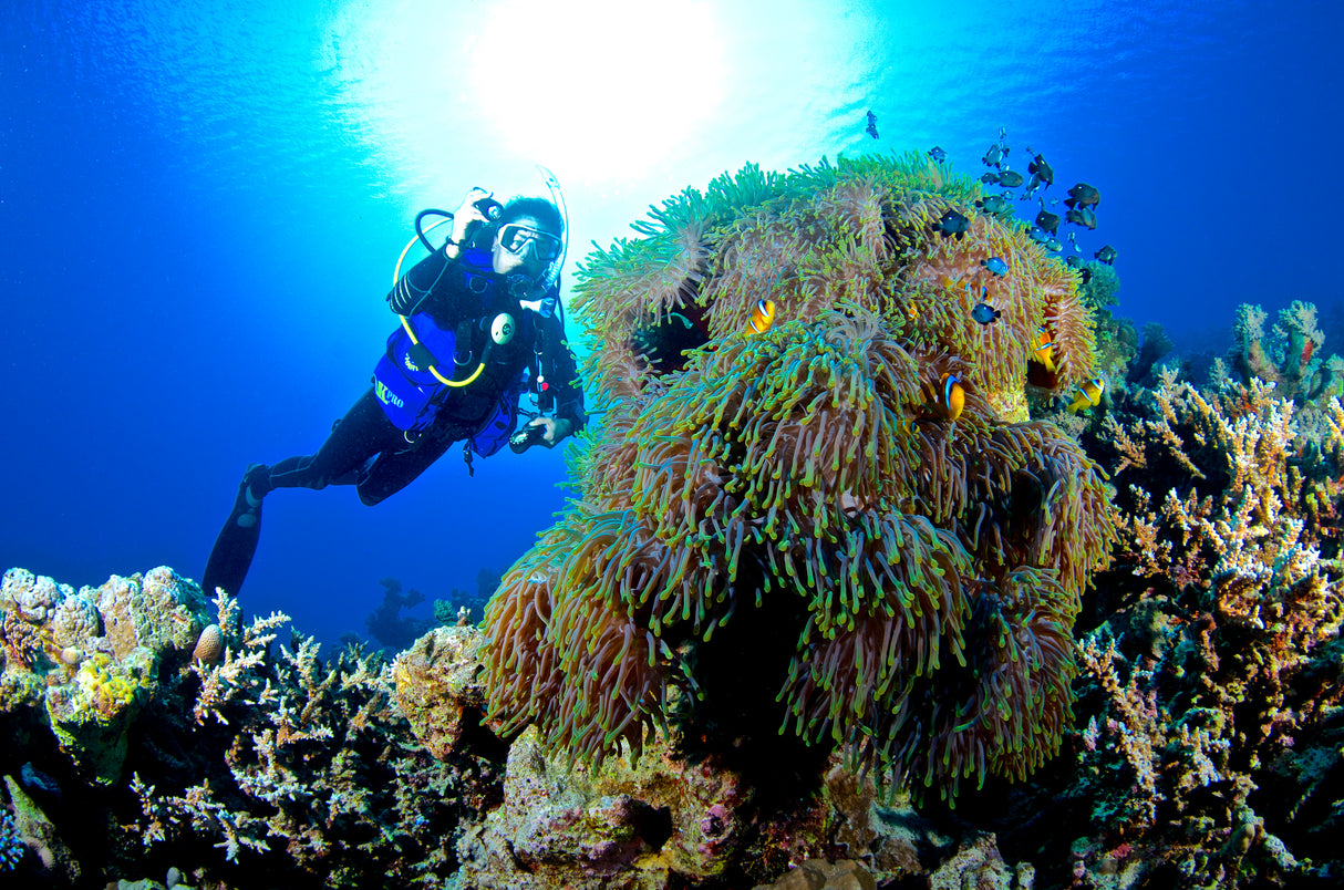 Daily club membership