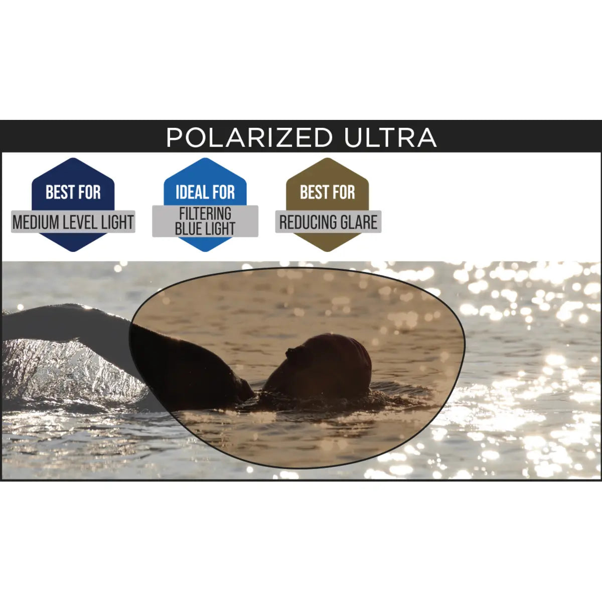 Zoggs Svømmebriller Predator Felx Polarized Ultra Blå/Gra