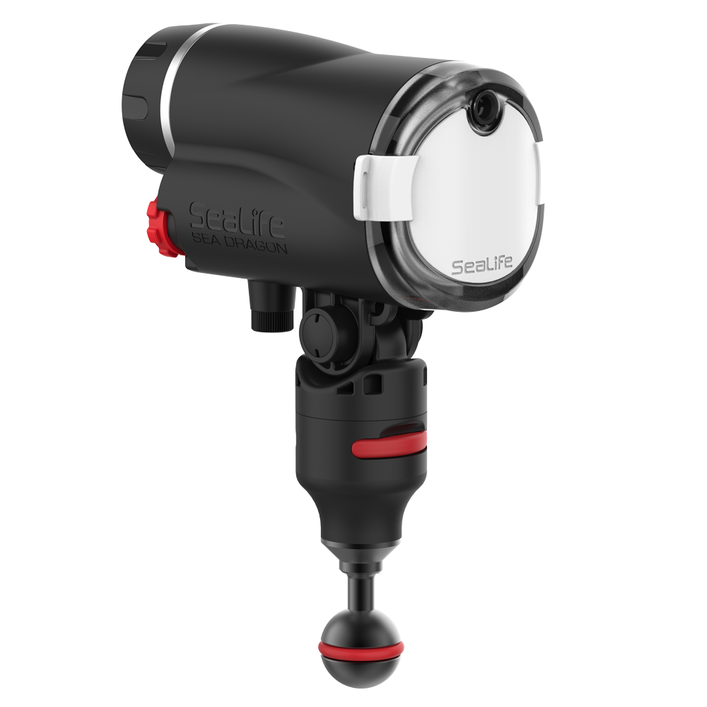 Seadragon Digital UV Flash