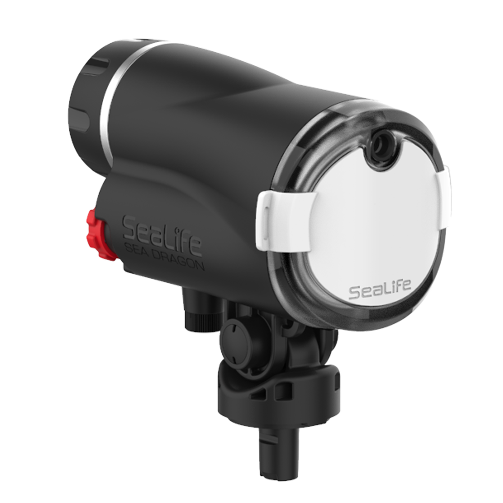 Seadragon Digital UV Flash