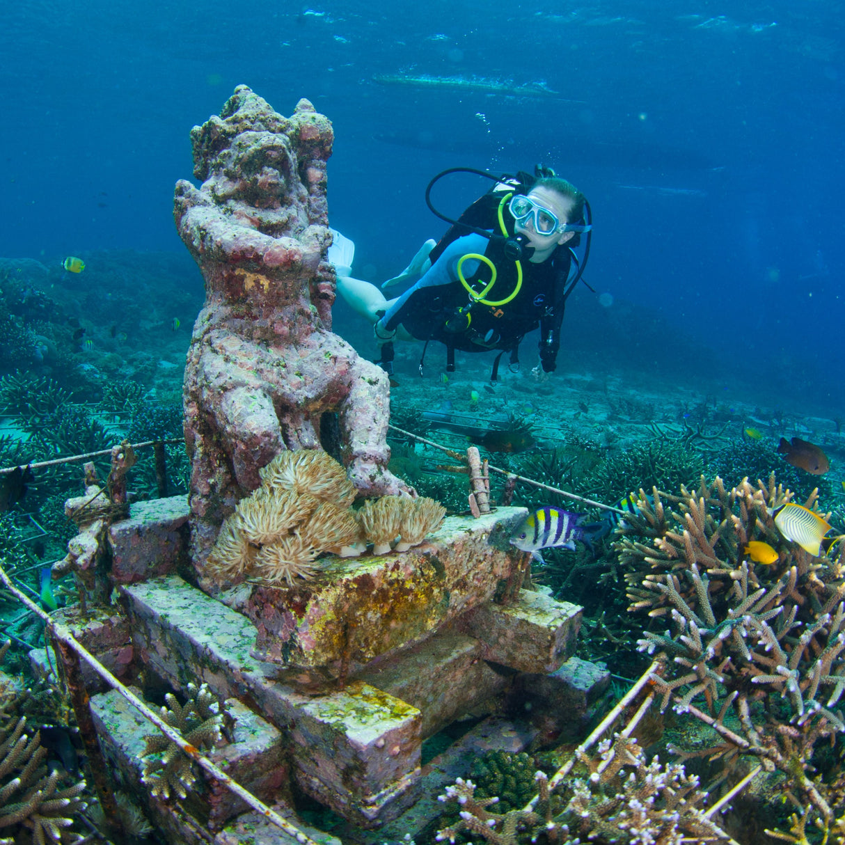 Indonesien, Bali, Sanur - Mantaer, rev og vrag, Fra 5 nætter