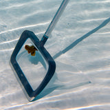 Bottom Leaf Net
