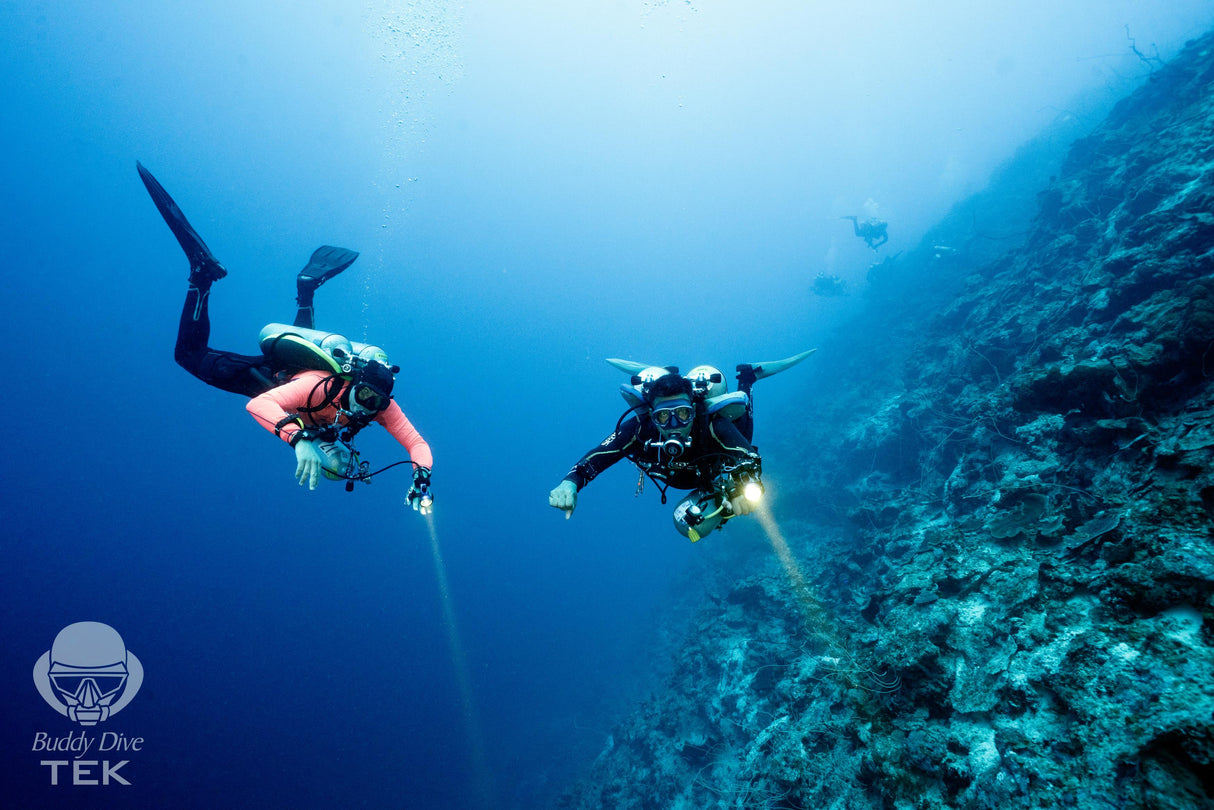 Caribien, Bonaire - Fra 7 nætter