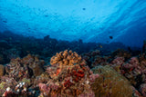 Fuvahmulah, Maldiverne