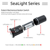 DiveVolk Video Dykkerlygte SL120 12000 lumen med et ekstra batteri