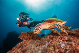 Sealife Seadragon Duo 6000F Set