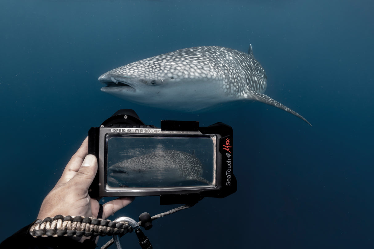 DIVEVOLK SeaTouch 4 MAX Platinum, Underwater housing til iPhone og Android