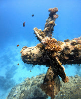 Egypten, Soma Bay - Dykkerrejse
