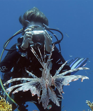 Rødehavet, Egypten - Liveaboard