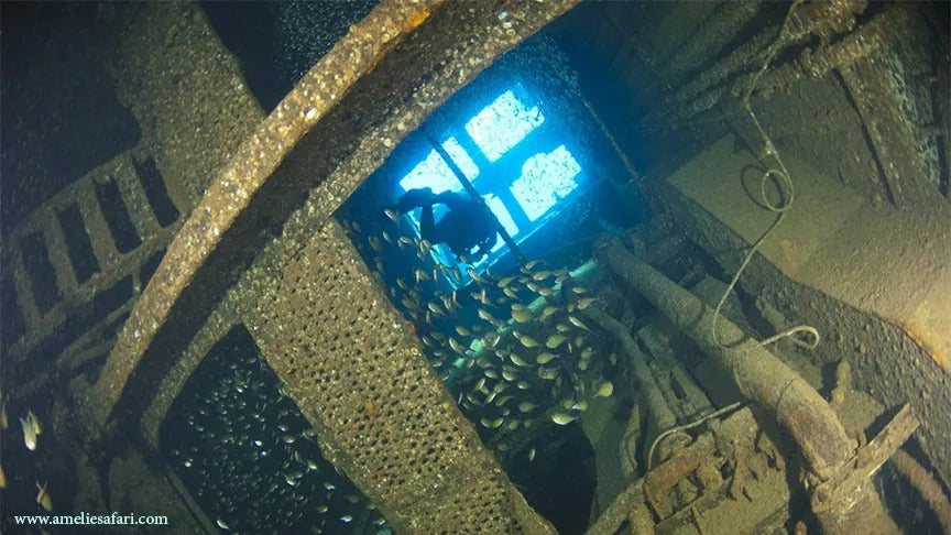 Rødehavet, Egypten - Liveaboard