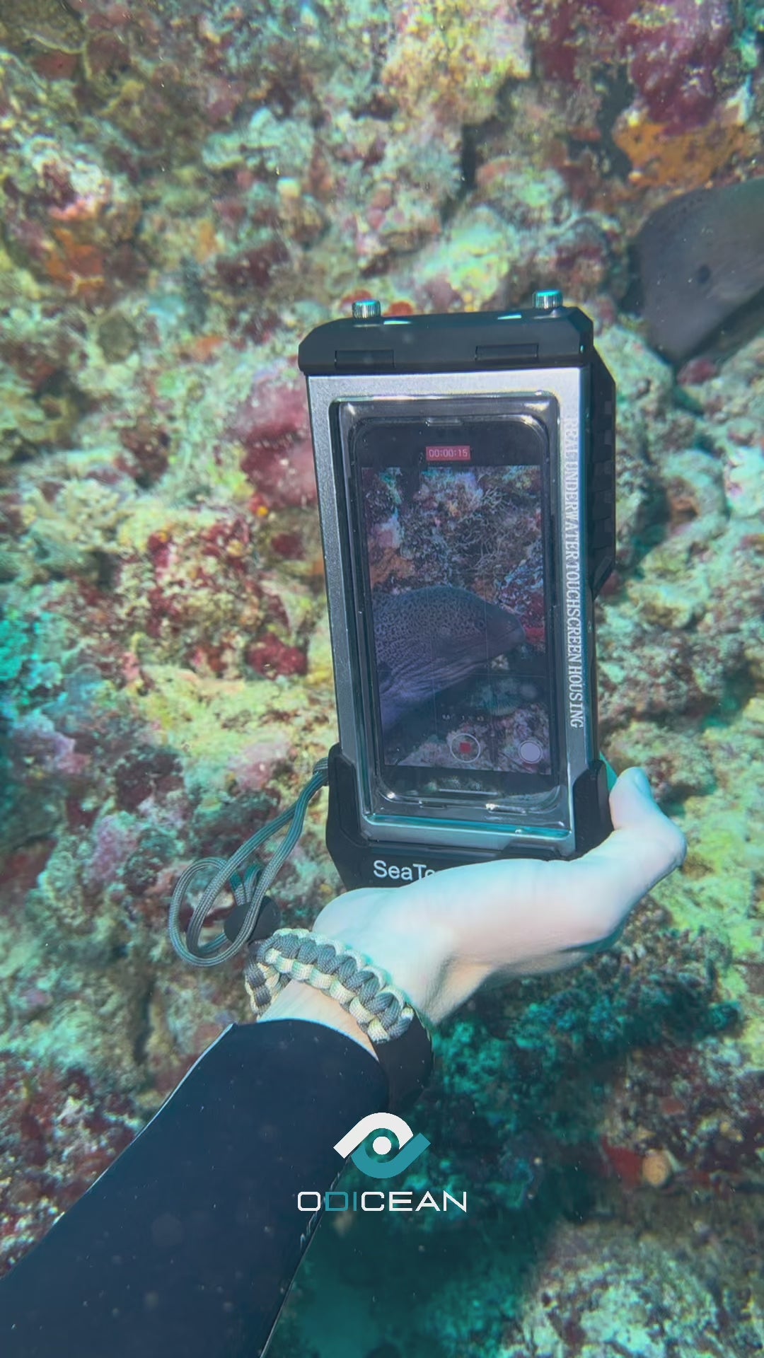 DIVEVOLK SeaTouch 4 MAX Platinum, Underwater housing til iPhone og Android