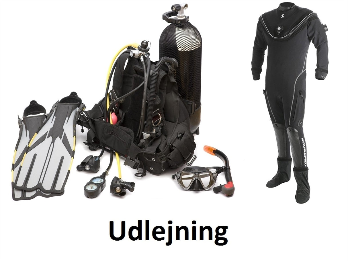 $1329