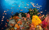 Indonesien, Bali, Sanur - Fra 12 nætter, Best of Bali